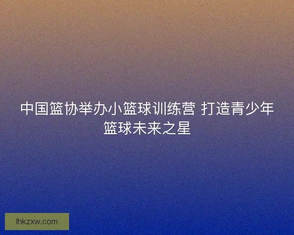 中国篮协举办小篮球训练营 打造青少年篮球未来之星